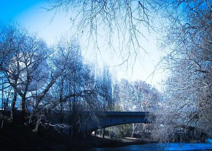 B&B Quadrifoglio Torino